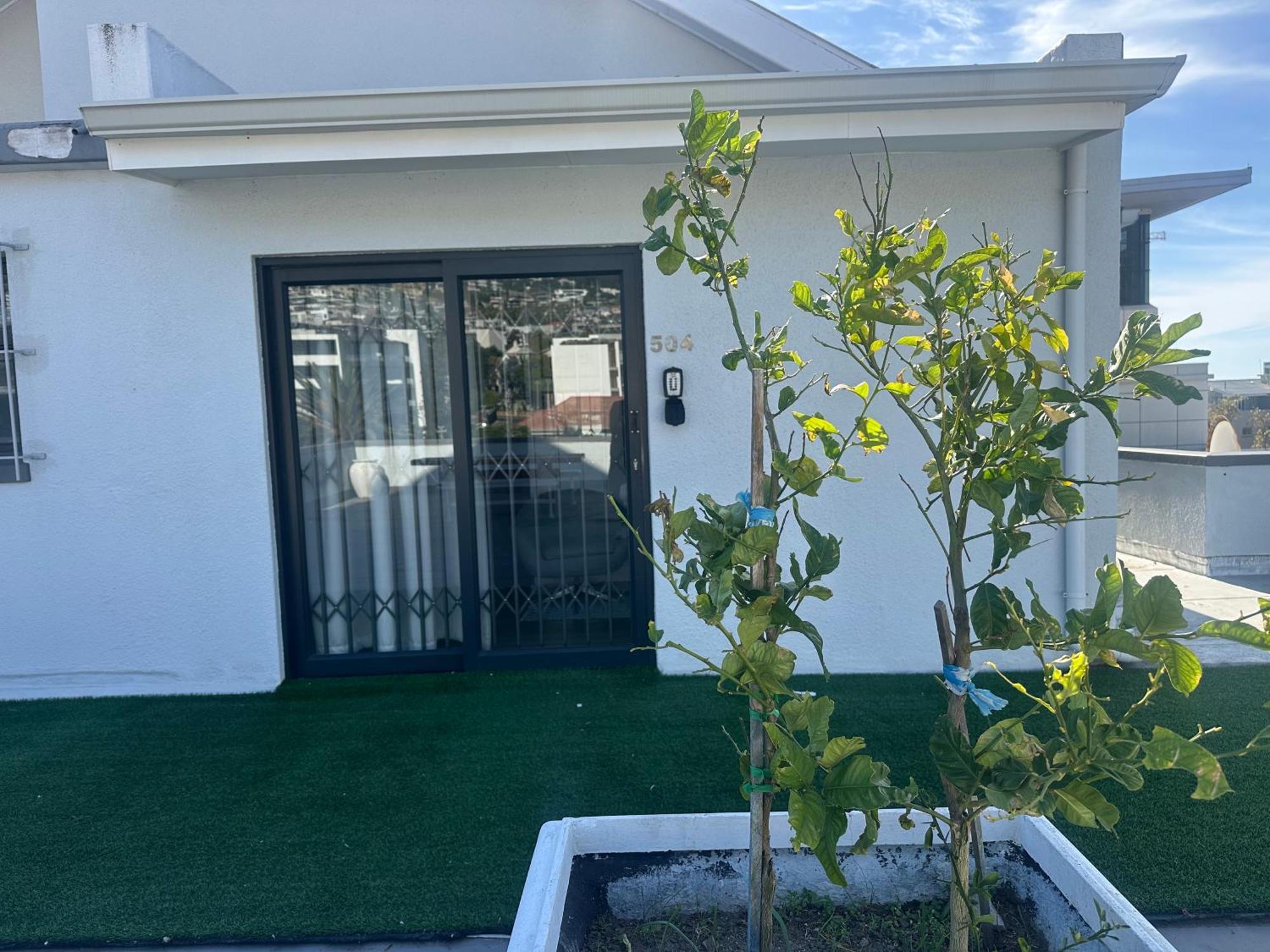 Camborne Holiday Apartments เคปทาวน์ ภายนอก รูปภาพ